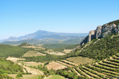 Provence-2014-04-06