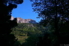Provence-2014-04-07