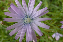 Provence-2014-04-28